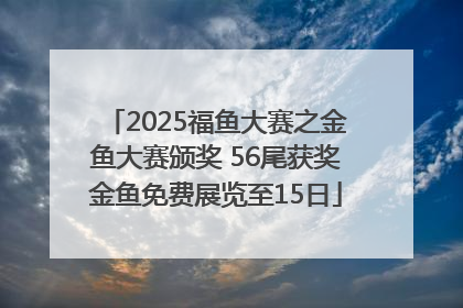 2025福鱼大赛之金鱼大赛颁奖 56尾获奖金鱼免费展览至15日