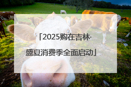 2025购在吉林·盛夏消费季全面启动