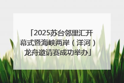 2025苏台邻里汇开幕式暨海峡两岸（洋河）龙舟邀请赛成功举办