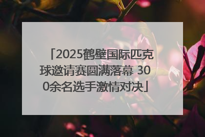 2025鹤壁国际匹克球邀请赛圆满落幕 300余名选手激情对决