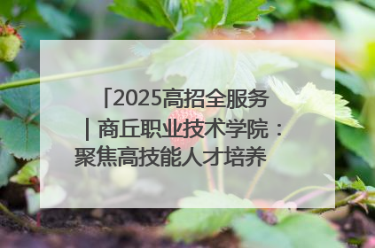 2025高招全服务｜商丘职业技术学院：聚焦高技能人才培养 谱写高质量发展篇章