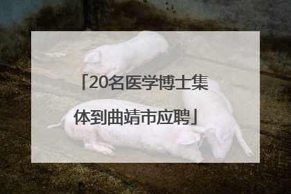 20名医学博士集体到曲靖市应聘