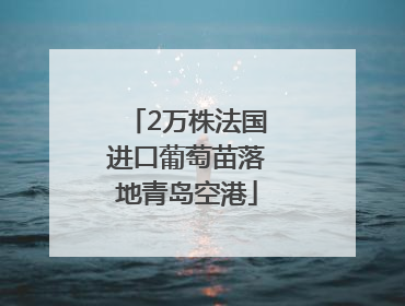 2万株法国进口葡萄苗落地青岛空港