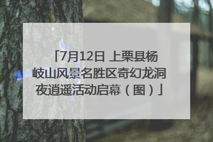 7月12日 上栗县杨岐山风景名胜区奇幻龙洞夜逍遥活动启幕（图）