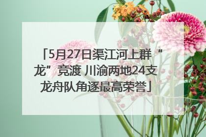 5月27日渠江河上群“龙”竞渡 川渝两地24支龙舟队角逐最高荣誉