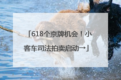 618个京牌机会！小客车司法拍卖启动→