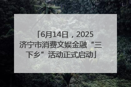 6月14日，2025济宁市消费文娱金融“三下乡”活动正式启动