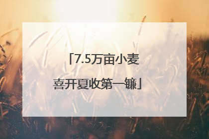 7.5万亩小麦喜开夏收第一镰
