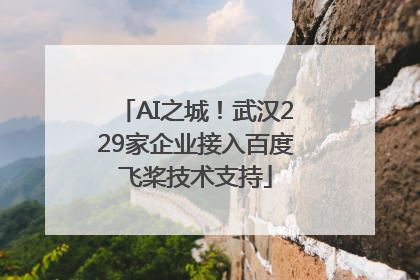 AI之城！武汉229家企业接入百度飞桨技术支持