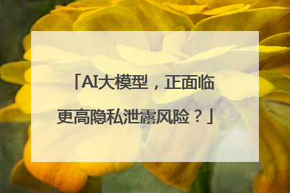 AI大模型，正面临更高隐私泄露风险？