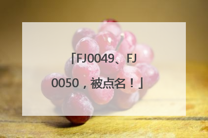 FJ0049、FJ0050，被点名！